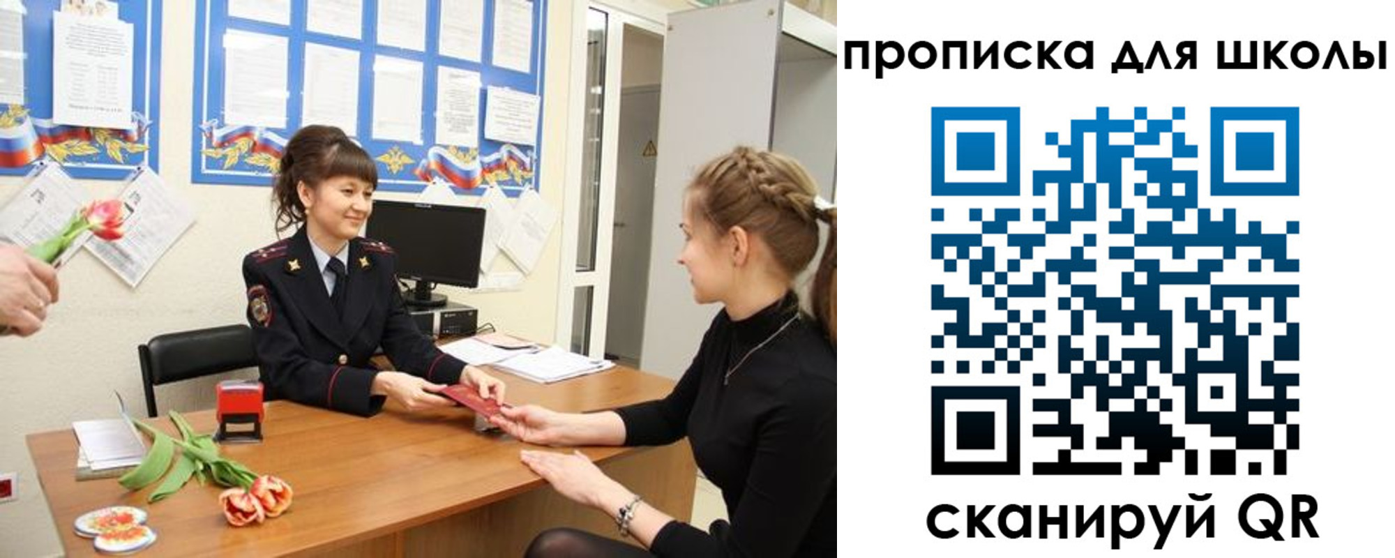 прописка гарантия в Тольятти